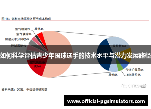 如何科学评估青少年国球选手的技术水平与潜力发展路径
