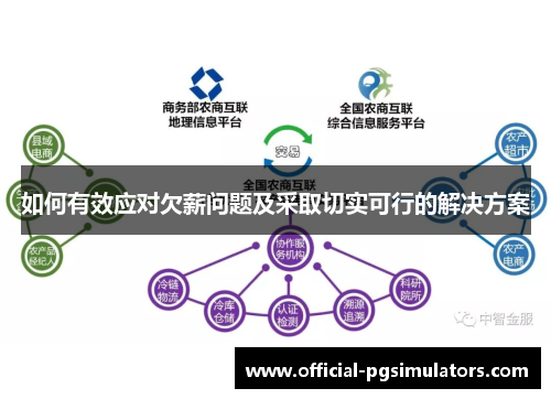 如何有效应对欠薪问题及采取切实可行的解决方案