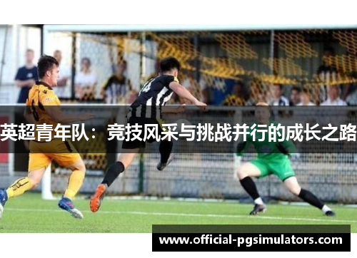 英超青年队：竞技风采与挑战并行的成长之路