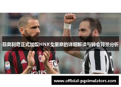 菲奥利奇正式加盟HNK戈里察的详细解读与转会背景分析