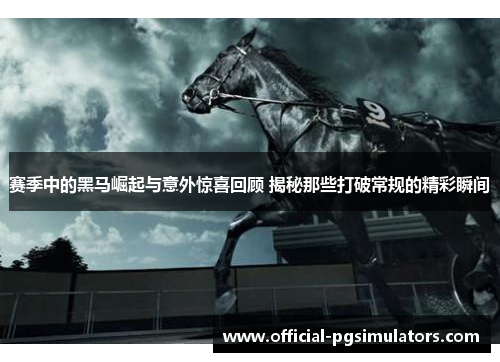 赛季中的黑马崛起与意外惊喜回顾 揭秘那些打破常规的精彩瞬间