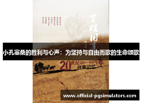 小孔塞桑的胜利与心声：为坚持与自由而歌的生命颂歌