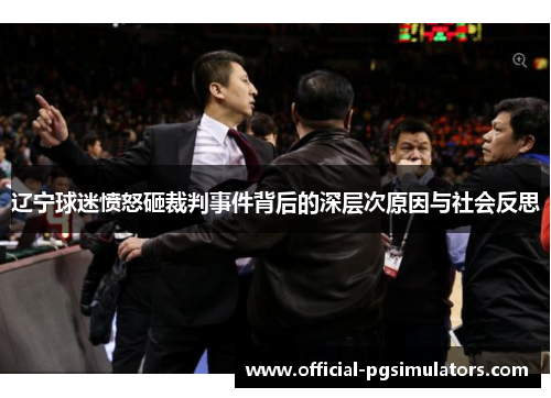 辽宁球迷愤怒砸裁判事件背后的深层次原因与社会反思