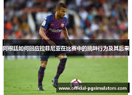 阿根廷如何回应拉菲尼亚在比赛中的挑衅行为及其后果