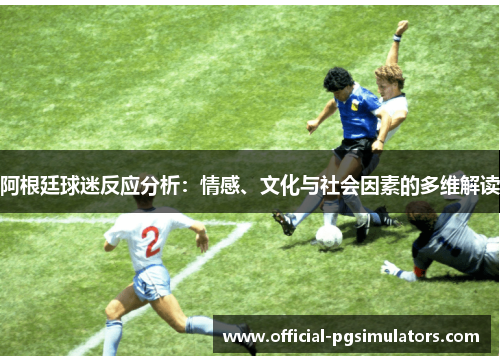 阿根廷球迷反应分析：情感、文化与社会因素的多维解读