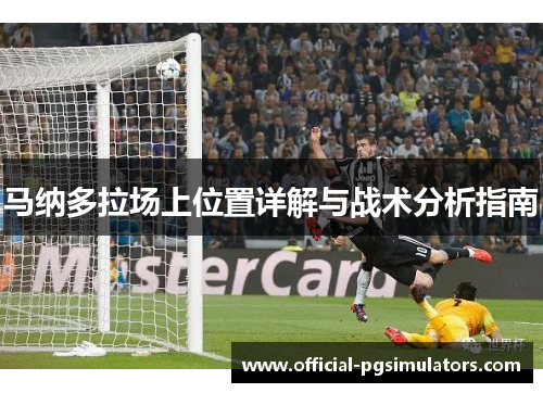 马纳多拉场上位置详解与战术分析指南