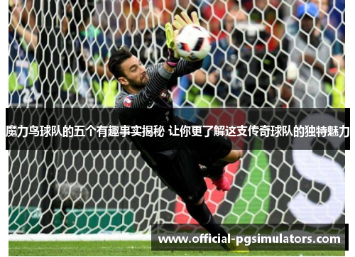 魔力鸟球队的五个有趣事实揭秘 让你更了解这支传奇球队的独特魅力
