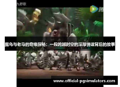 魔鸟与老马的奇缘探秘：一段跨越时空的深厚情谊背后的故事