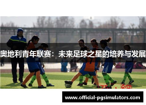 奥地利青年联赛：未来足球之星的培养与发展