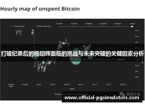 打破纪录后的杨绍辉面临的挑战与未来突破的关键因素分析