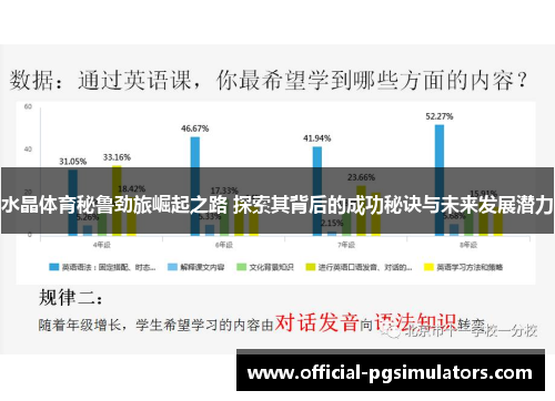 水晶体育秘鲁劲旅崛起之路 探索其背后的成功秘诀与未来发展潜力